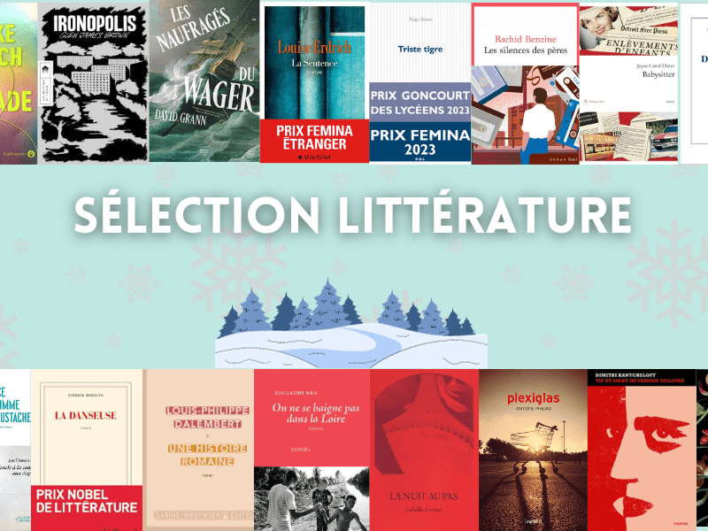 Sélection de Noël 2023 #2 :&nbsp;Littérature
